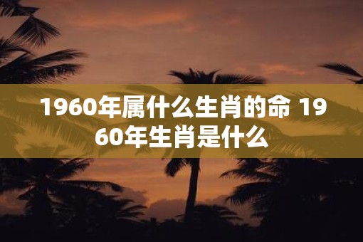 1960年属什么生肖的命 1960年生肖是什么