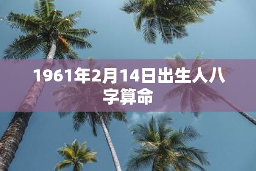 1961年2月14日出生人八字算命