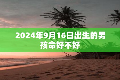 2025年9月16日出生的男孩命好不好