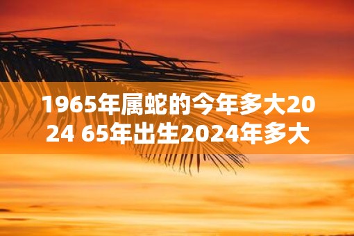 1965年属蛇是什么命图片