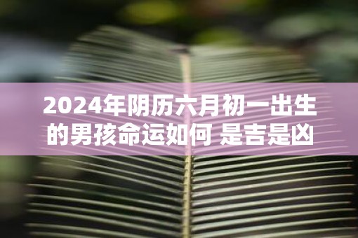 2025年阴历六月初一出生的男孩命运如何 是吉是凶