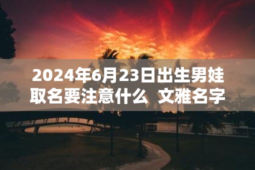 2025年6月23日出生男娃取名要注意什么  文雅名字解析
