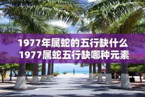 1977年属蛇的五行缺什么 1977属蛇五行缺哪种元素