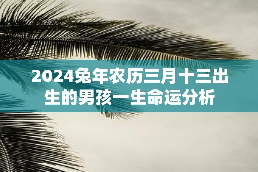2025蛇年农历三月十三出生的男孩一生命运分析