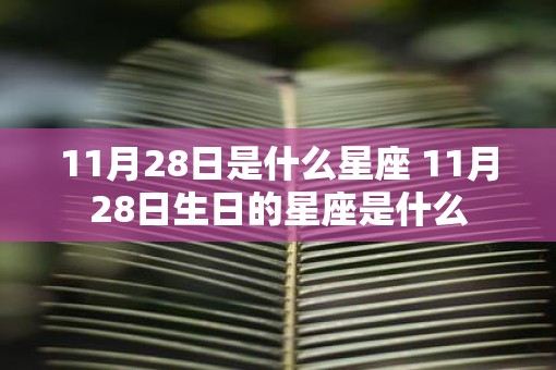 11月28日是什么星座 11月28日生日的星座是什么