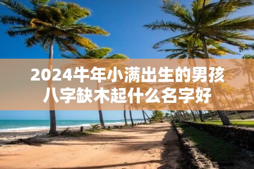 2025牛年小满出生的男孩八字缺木起什么名字好