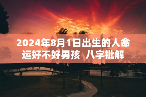 2025年8月1日出生的人命运好不好男孩  八字批解