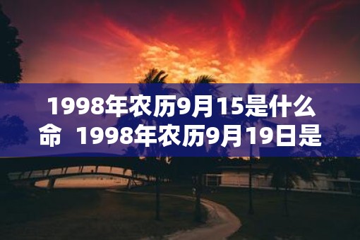 1998年农历9月15是什么命  1998年农历9月19日是什么命