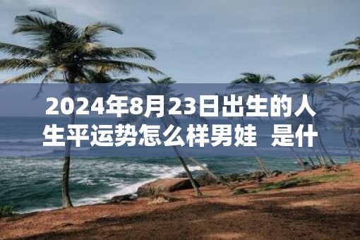 2025年8月23日出生的人生平运势怎么样男娃  是什么属相