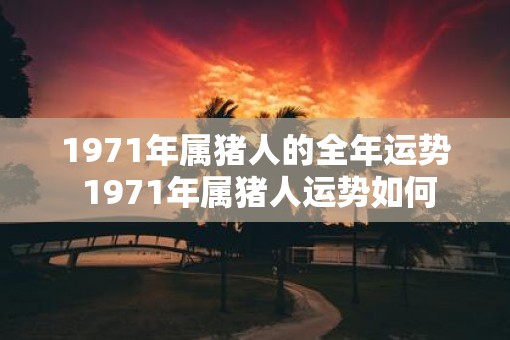 1971年属猪人的全年运势 1971年属猪人运势如何