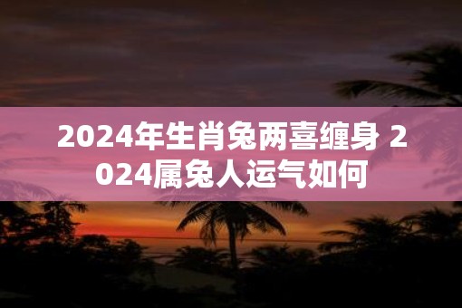 2025年生肖兔两喜缠身 2025属兔人运气如何