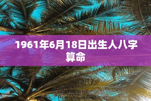 1961年6月18日出生人八字算命