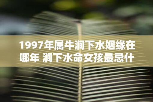 1997年属牛涧下水姻缘在哪年 涧下水命女孩最忌什么