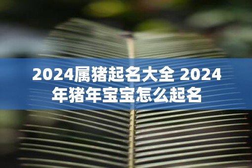2025属猪起名大全 2025年猪年宝宝怎么起名 2025属猪起名大全 2025年猪年宝宝怎么起名