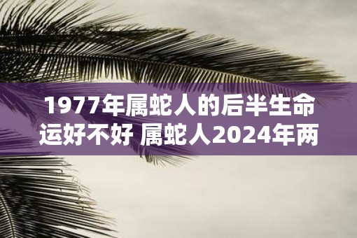 1977年属蛇人的后半生命运好不好 属蛇人2025年两喜缠身