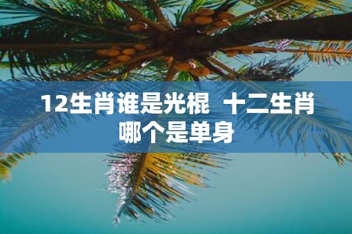 12生肖谁是光棍  十二生肖哪个是单身
