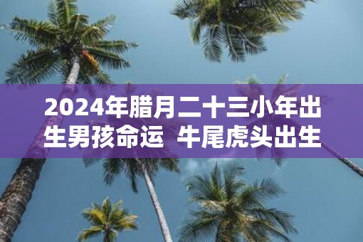 2025年腊月二十三小年出生男孩命运  牛尾虎头出生的男宝宝好不好