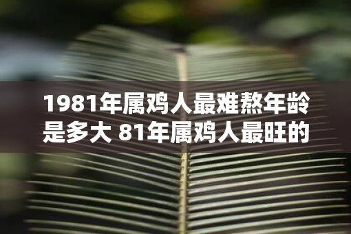 1981年属鸡人最难熬年龄是多大 81年属鸡人最旺的年龄