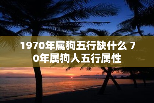 1970年属狗五行缺什么 70年属狗人五行属性