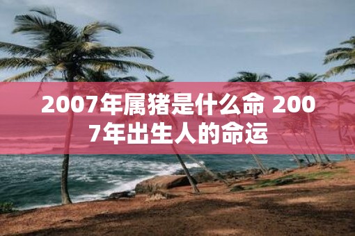 2007年属猪是什么命 2007年出生人的命运