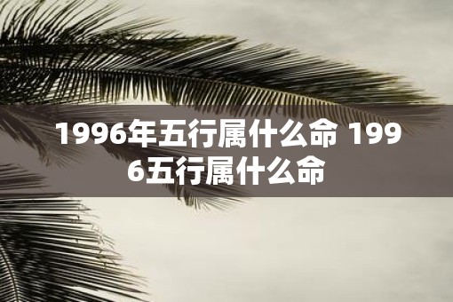 1996年五行属什么命 1996五行属什么命
