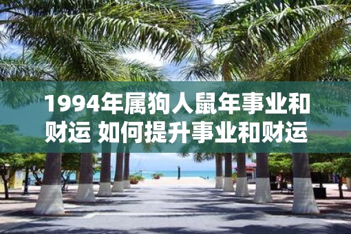 1994年属狗人鼠年事业和财运 如何提升事业和财运