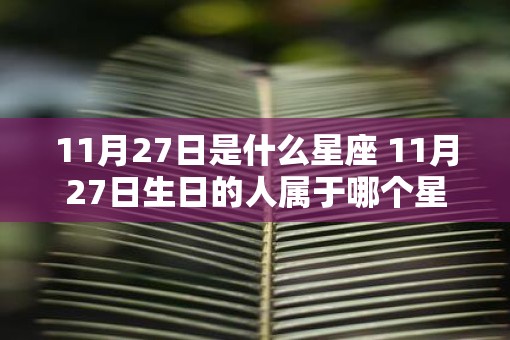 11月27日是什么星座 11月27日生日的人属于哪个星座