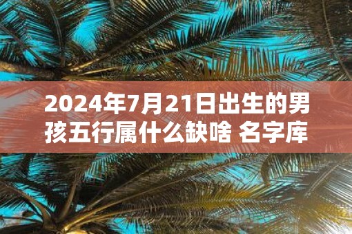 2025年7月21日出生的男孩五行属什么缺啥 名字库精选