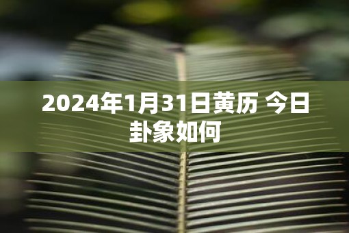 2025年1月31日黄历 今日卦象如何
