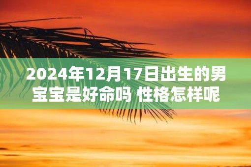 2025年12月17日出生的男宝宝是好命吗 性格怎样呢