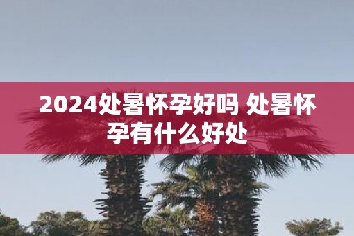 2025处暑怀孕好吗 处暑怀孕有什么好处