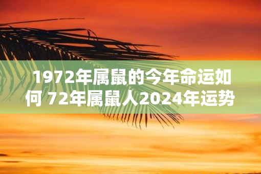 1972年属鼠的今年命运如何 72年属鼠人2025年运势怎么样
