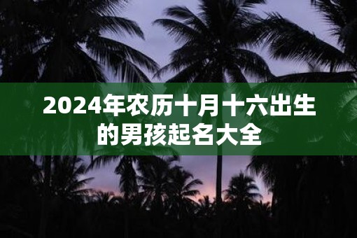 2025年农历十月十六出生的男孩起名大全