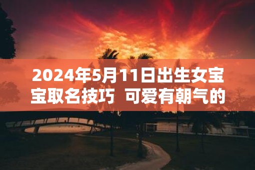 2025年5月11日出生女宝宝取名技巧  可爱有朝气的女孩小名