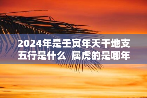 2025年是壬寅年天干地支五行是什么 属虎的是哪年出生 2025年是壬寅年天干地支五行是什么 属虎的是哪年出生