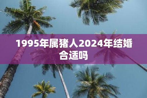 1995年属猪人2025年结婚合适吗