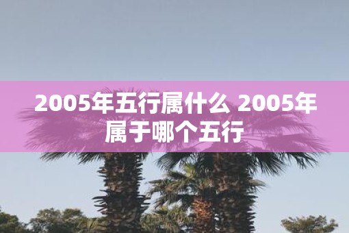 2005年五行属什么 2005年属于哪个五行