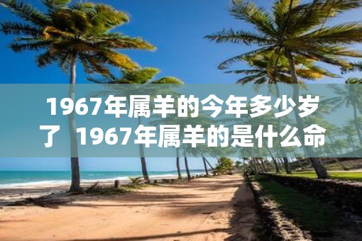 1967年属羊的今年多少岁了  1967年属羊的是什么命