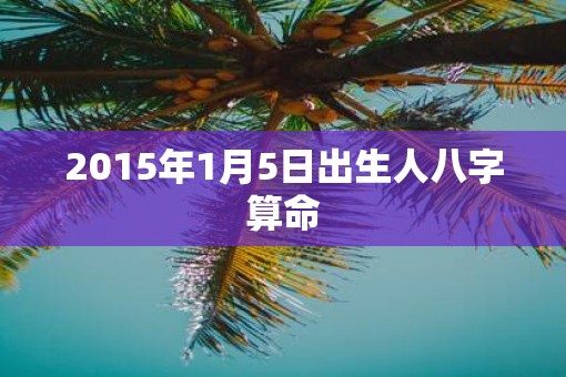 2015年1月5日出生人八字算命