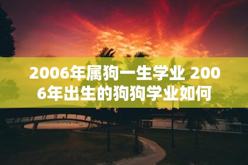 2006年属狗一生学业 2006年出生的狗狗学业如何