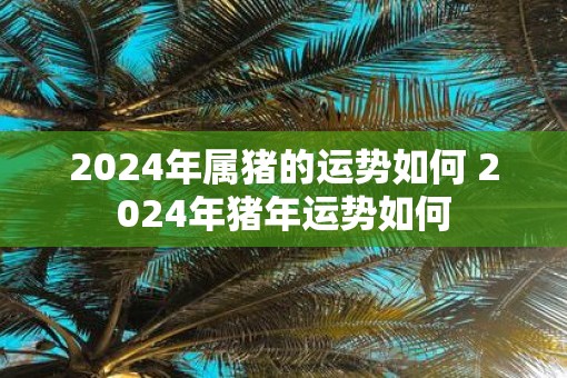 2025年属猪的运势如何 2025年猪年运势如何