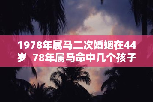 1978年属马二次婚姻在44岁  78年属马命中几个孩子