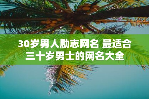 30岁男人励志网名 最适合三十岁男士的网名大全