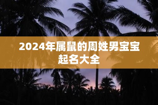 2025年属鼠的周姓男宝宝起名大全