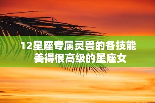 12星座专属灵兽的各技能  美得很高级的星座女