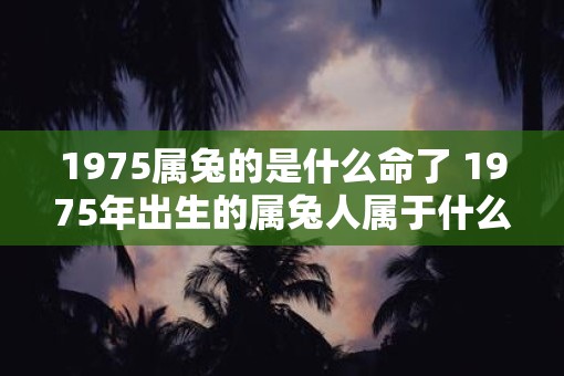 1975属兔的是什么命了 1975年出生的属兔人属于什么五行命