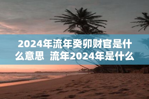 2025年流年癸卯财官是什么意思  流年2025年是什么意思