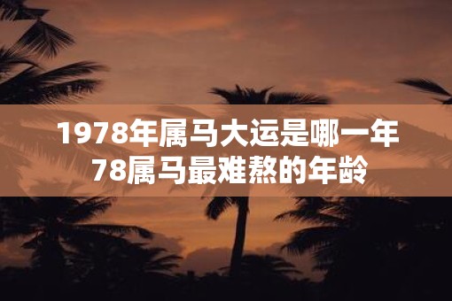 1978年属马大运是哪一年 78属马最难熬的年龄