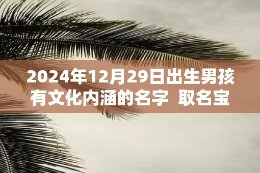 2025年12月29日出生男孩有文化内涵的名字  取名宝典