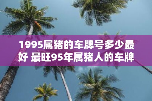 1995属猪的车牌号多少最好 最旺95年属猪人的车牌号